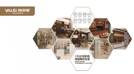 雅麗家櫥柜品牌定位與設(shè)計(jì)服務(wù)解析