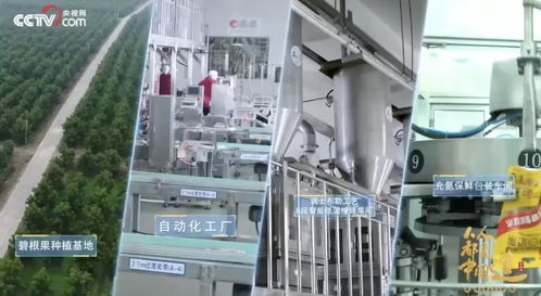 從被低估的沃土到世界之巔 一座中國城市的堅果巨頭與教育軟件技術開發(fā)傳奇